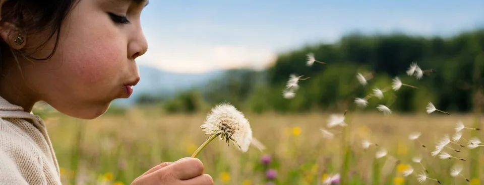 A child blowing seeds from a dandelion
